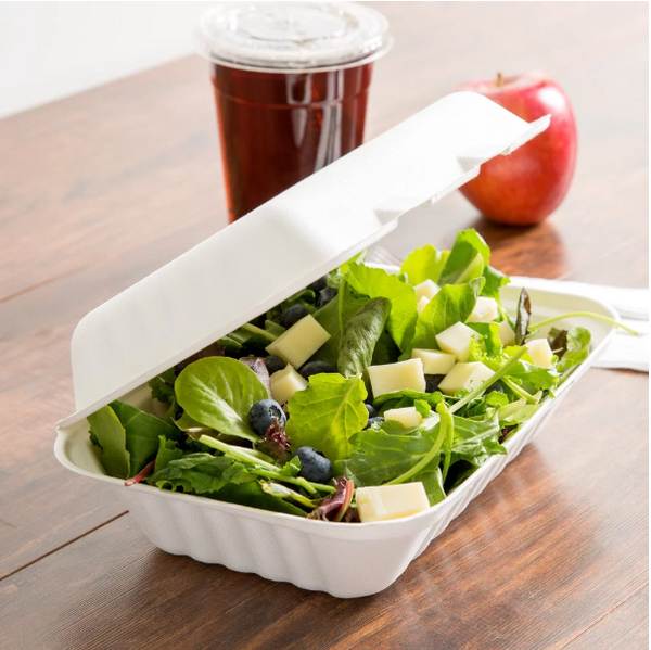 Biodegradable Bagasse 9" x 6" x 3" Take-Out (1 Compartment) Container - (200/case)